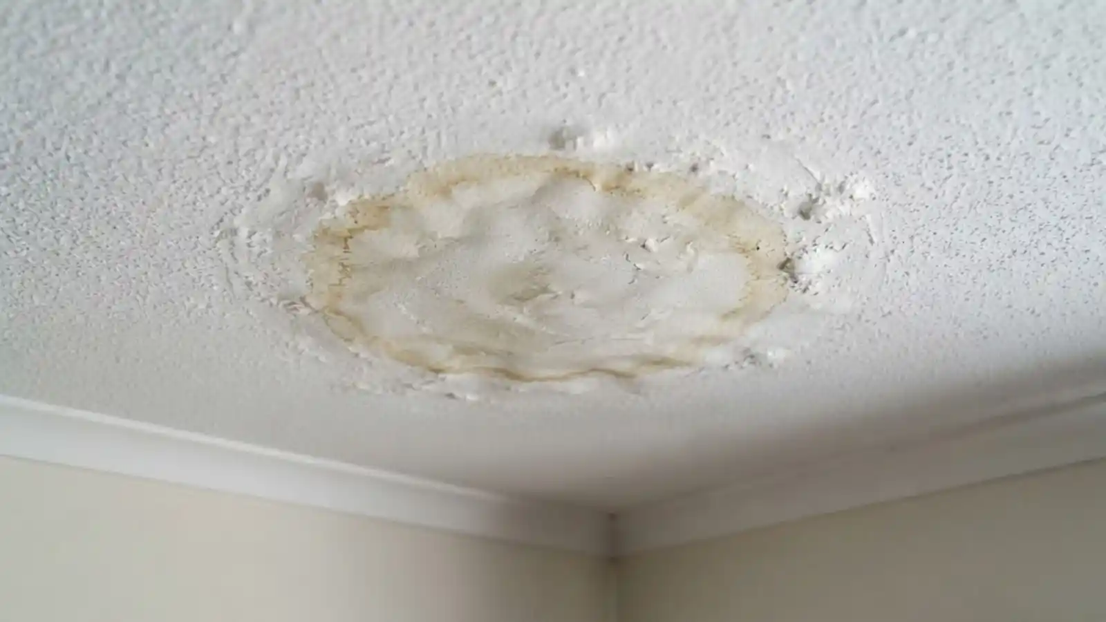 Water Damage illustration